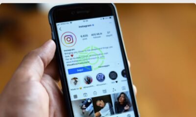 InSnoop: Free Instagram Story Viewer