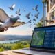 Wincompanion: My Guide to Live Pigeon Racing Results