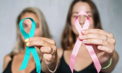 FRABOC: What Is Familial Risk Assessment – Breast and Ovarian Cancer